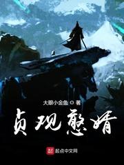 贞观憨婿韦浩免费阅读笔趣阁