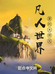 凡人修仙传向师兄身份