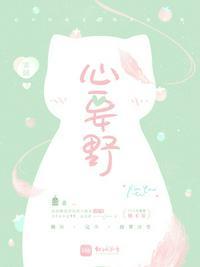 心要野吉他谱