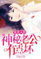 叶星北顾君逐免费阅读全文