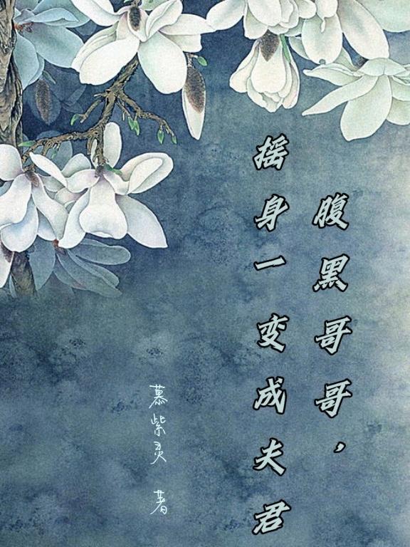 腹黑哥哥强宠火爆妻