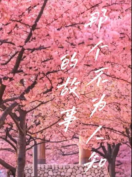 那个不为人知的故事是真实改编吗