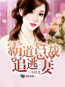霸道总裁追逃妻txt