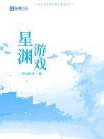 星渊游戏公司