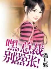 嘿总裁的101种方式