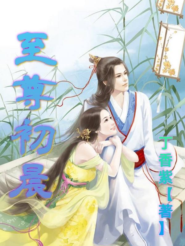 至尊叶辰萧初然