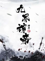 九界神帝叶休 笔趣阁