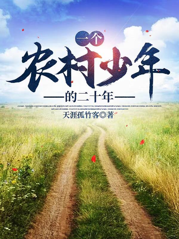 对一个农村来的少年