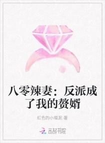 八零媳妇的反派