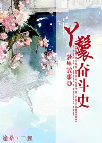 丫鬟的奋斗日常