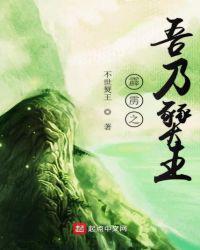 霹雳之吾乃燹王免费阅读