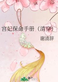宫妃保命手册(清穿)番外10
