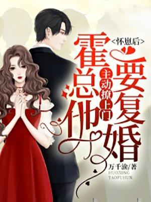 怀崽后我被豪门霸总宠上天 作者七箩