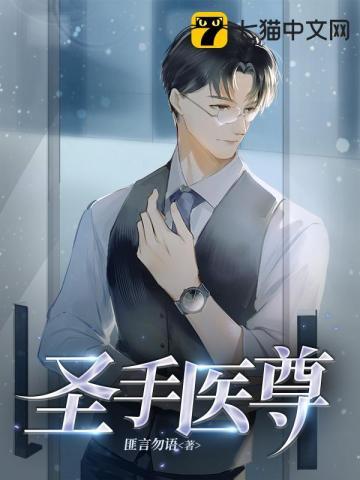 圣手医尊6