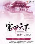 富甲天下5秘籍怎么输入