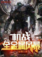 机战全金属风暴 第2378章