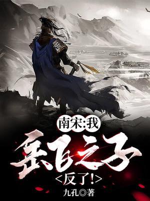 南宋英雄之岳飞