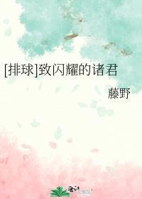 排球致闪耀的诸君网页