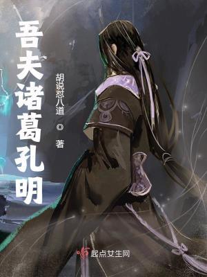 诸葛孔明之子
