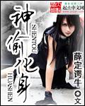 神偷化身简介
