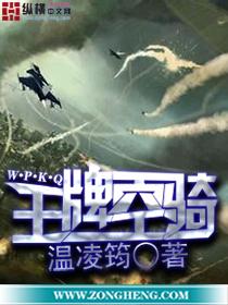 王牌空军游戏