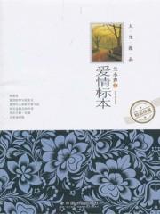 爱情标本DJ