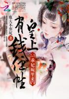 皇上您的宠妃撂挑子啦