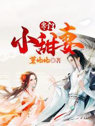 寒门小甜妻讲了什么