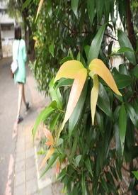 一起同居的日子阅读