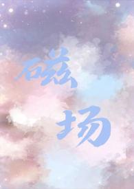 磁场单位