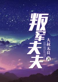 叛军指的是什么