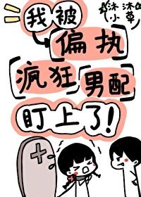 这个男宠我要了完整版