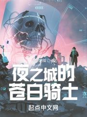苍白之夜汉化