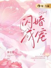 闪婚成宠总裁上司是老公
