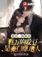 有夏总的是什么电视剧
