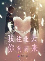 从此你往南我往北
