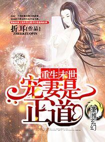 重生末世之宠妻是正道有声剧
