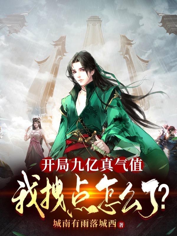 开局九亿真气值我拽点怎么了城南有雨落城西