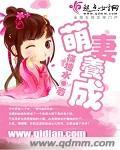 萌妻养成方程组