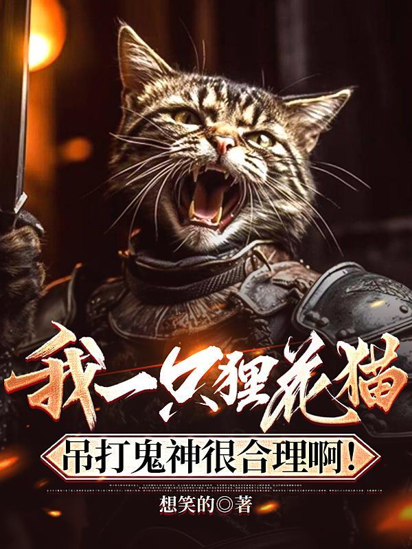 狸花猫战斗