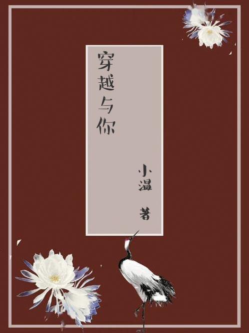穿越到你和我的倾城时光