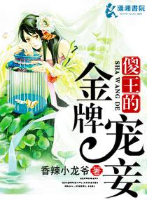 傻王的绝宠小王妃