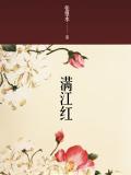 满江红老子当年