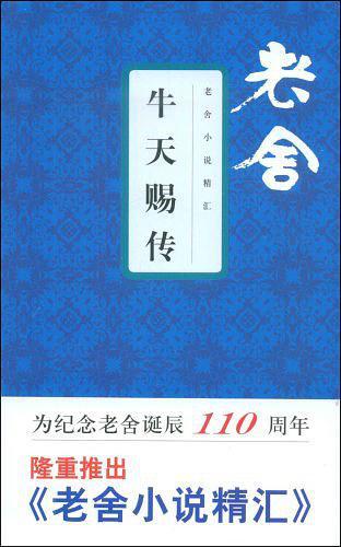 牛天赐传 雨枫轩
