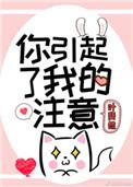 你引起了我的注意叶斐然讲什么