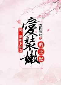 说一说那不知羞爱装嫩的王妃 作者盛世清歌
