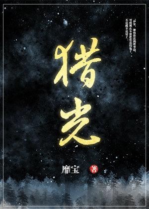 猎光和谐部分