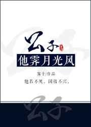 公子他霁月光风凤
