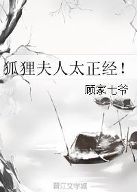 狐狸夫人太正经!作者顾家七爷