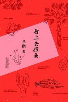 看上去很美北燕